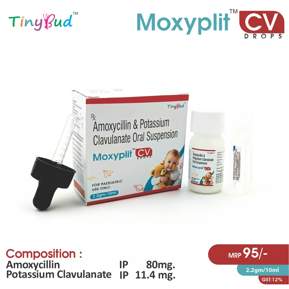 Amoxycillin + Clavulanic Acid Drop at the best price in PCD Pharma Franchise for bacterial infections and antibiotic care.